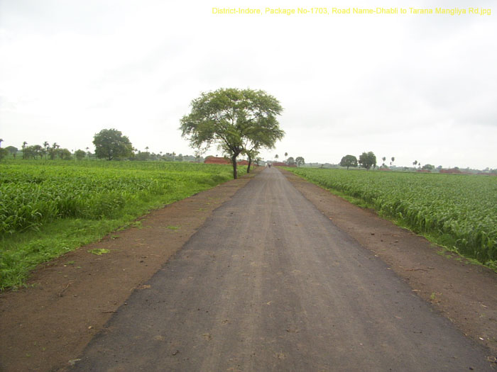 District-Indore, Package No-1703, Road Name-Dhabli to Tarana Mangliya Rd